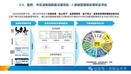 XX集團數(shù)據(jù)治理體系建設方案 數(shù)據(jù)處理與存儲服務